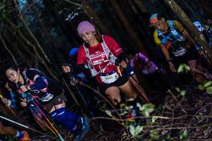 BIB: 2541
                            <button type="button" onclick="openModal(19039954)" class="btn btn-primary btn-sm float-right btn-popup" data-toggle="modal" data-target=".modal-high-quality">
                        <i class="fas fa-shopping-cart"></i> Add to Cart
                    </button>
                                            <button type="button" onclick="isThisMe(19039954, true)" class="btn btn-success btn-sm float-right btn-popup btn-isme hidden" data-toggle="tooltip" data-placement="bottom" title="นี่คือรูปของคุณใช่ไหม คลิกที่นี่เพื่อเอาเข้าอัลบั้ม">
                        <i class="fas fa-plus"></i> Add to album
                    </button>
                    <button type="button" onclick="isThisMe(19039954, false)" class="btn btn-warning btn-sm float-right btn-popup btn-isnotme hidden">
                        <i class="fas fa-ban"></i> Remove from album
                    </button>